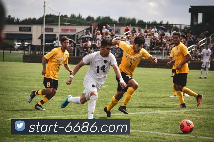 6686体育APP 高清赛事图